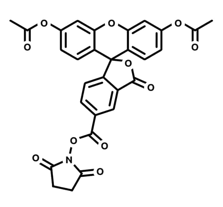 5-carboxyfluorescein diacetate NHS ester structure
